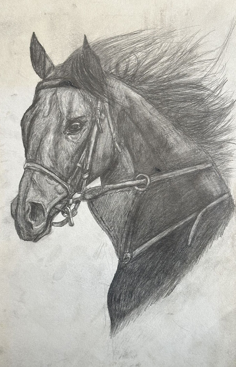Wind and Reins
