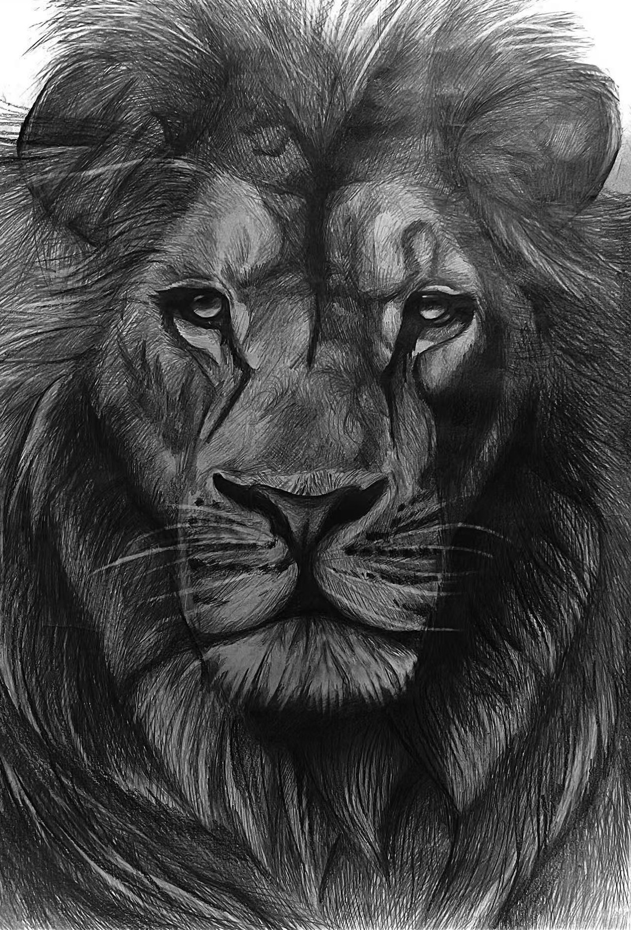 Majestic Gaze