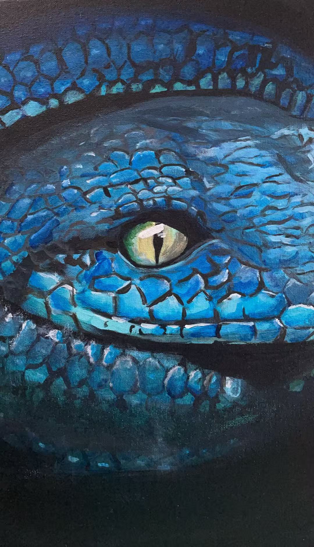 Eye of the Snake