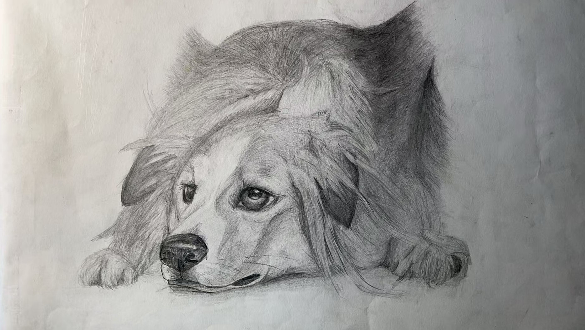 Quiet Companion