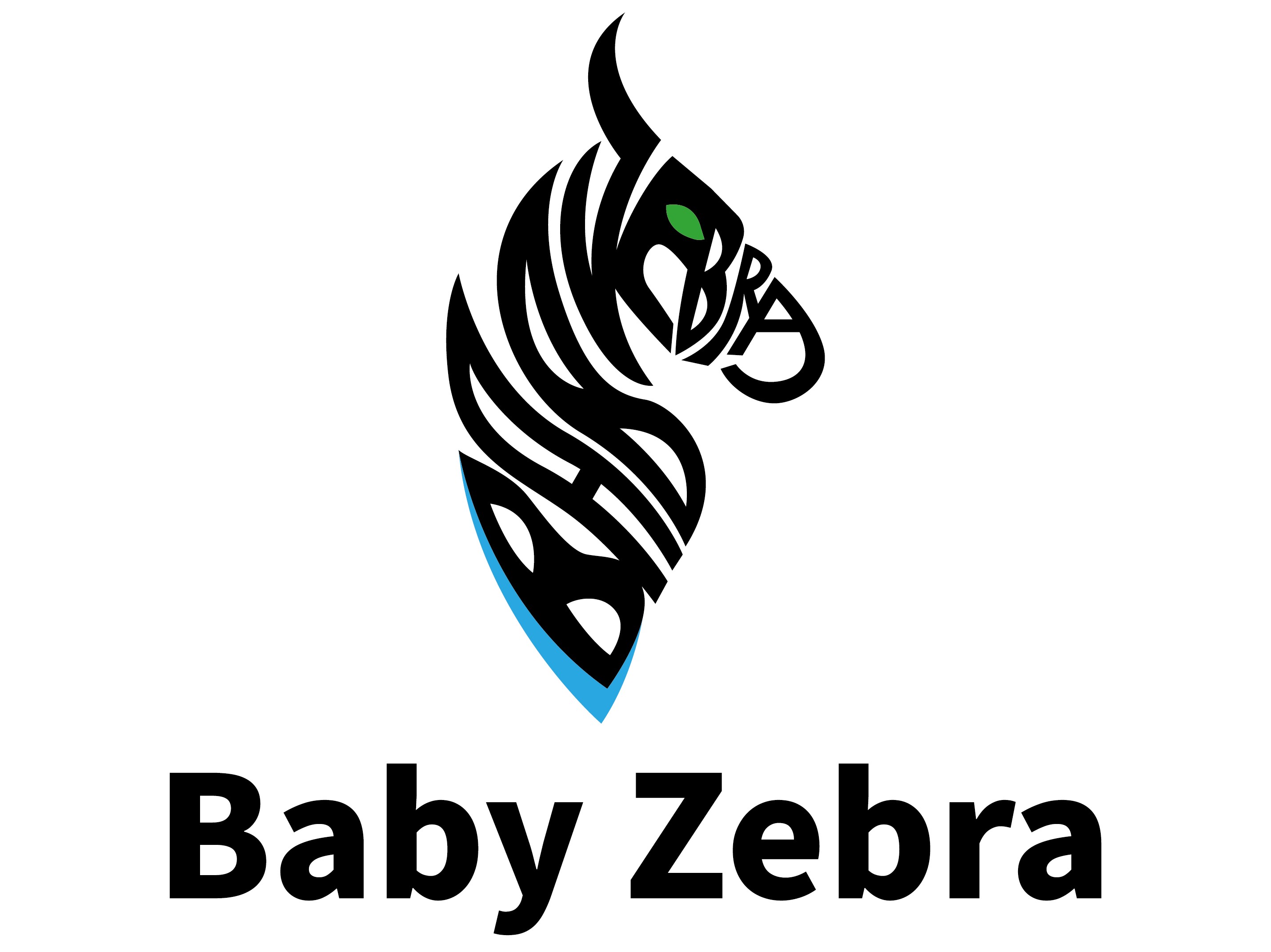 2. Baby Zebra domain 